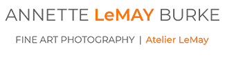 Atelier LeMay Photography - Annette LeMay Burke