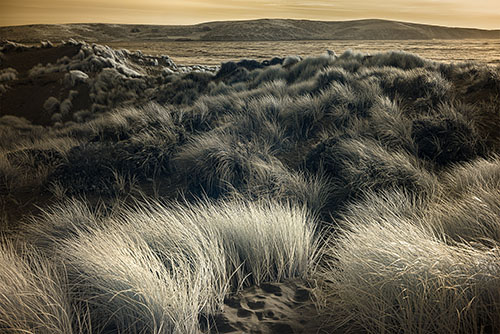 Shifting Winds, Dillon Beach